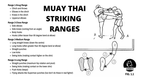 Creating muay thai combos