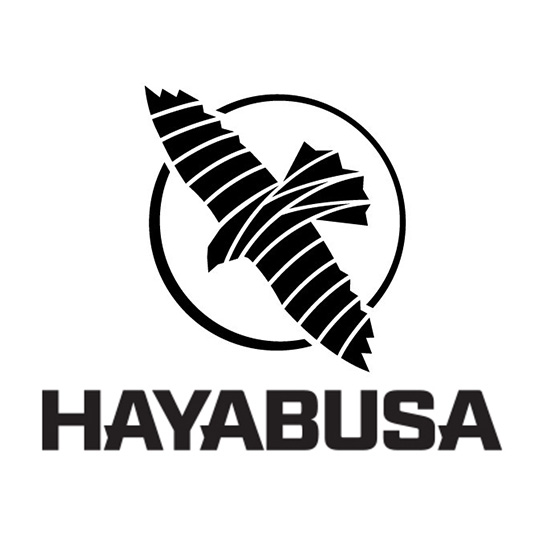 Hayabusa