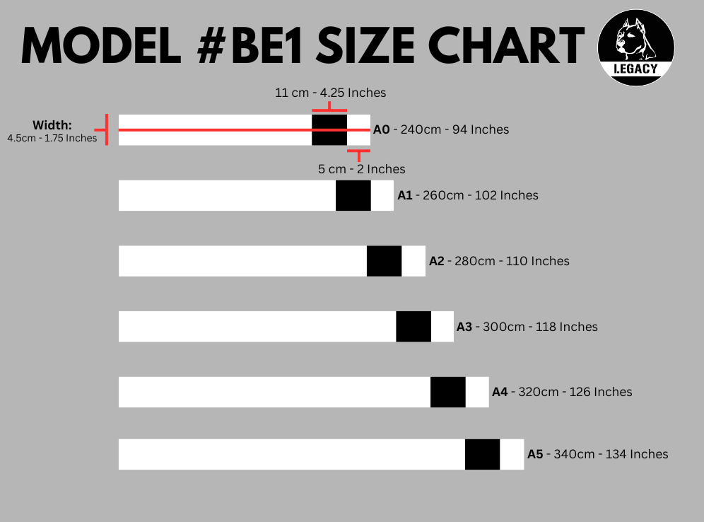 MODEL #BE1 | BJJ BELT