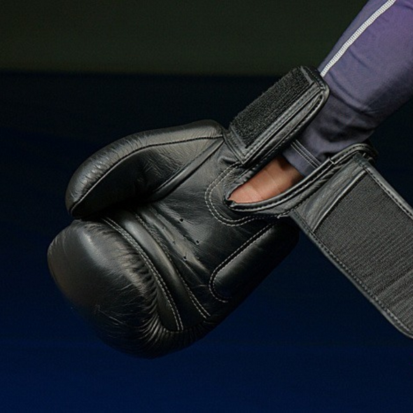 TWINS SPECIAL ORIGINAL BOXING GLOVES