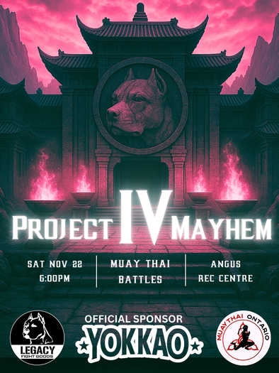Project Mayhem Championship IV | Realms Collide