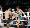 Two boxers in a boxing ring with spectators watching.