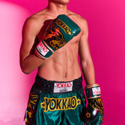 YOKKAO boxing gloves for Muay Thai training and sparring