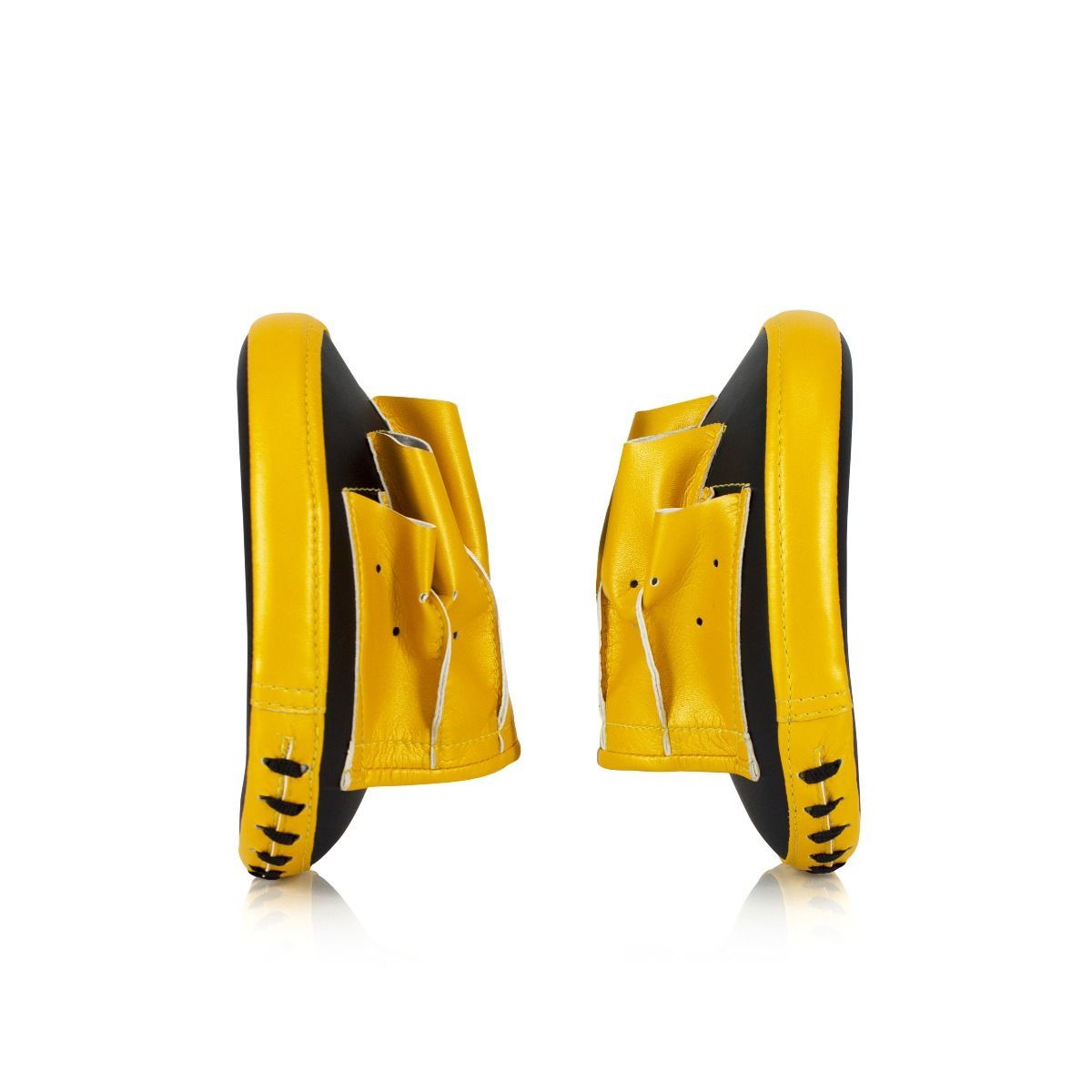 FAIRTEX SPEED AND ACCURACY CURVED FOCUS MITTS - FMV15