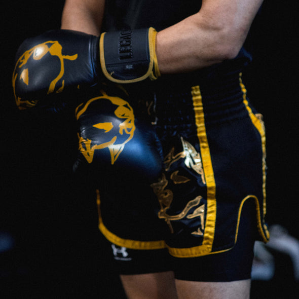 The Legacy Golden Frank Boxing Gloves and The Golden Era Muay Thai Shorts.