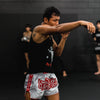 Person practicing martial arts in a gym setting