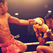 RAJA RBGV-1 standard black Muay Thai gloves made in Thailand with genuine leather and secure wrist support