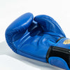 RAJA RBGV-1 standard black Muay Thai gloves made in Thailand with genuine leather and secure wrist support