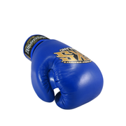 Blue boxing glove with 'Ringside' branding on a white background