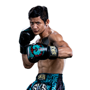 Boxer wearing SKS boxing gloves and shorts on a white background