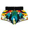 Colorful athletic shorts with star patterns and YOKKAO branding on a white background