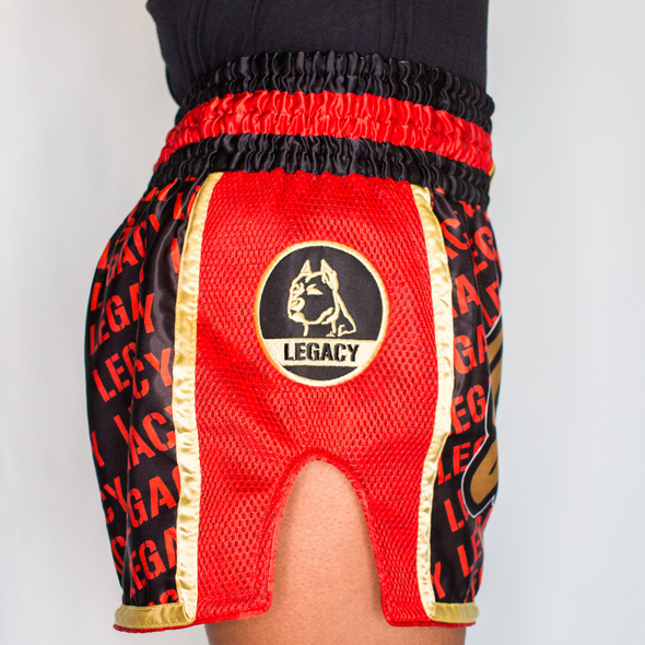 FLAMIN' FIGHT SHORTS - LEGACY FIGHT APPAREL