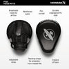 HAYABUSA PTS3 FOCUS MITTS - LEGACY FIGHT APPAREL