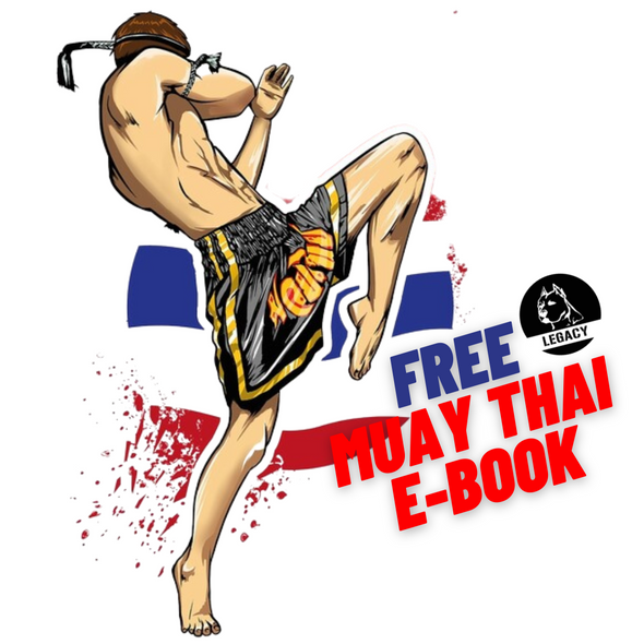 FREE MUAY THAI BASICS E-BOOK