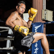 Fairtex Falcon Boxing Gloves BVG1, limited edition Muay Thai gloves with falcon graphic, premium microfiber leather for boxing and kickboxing