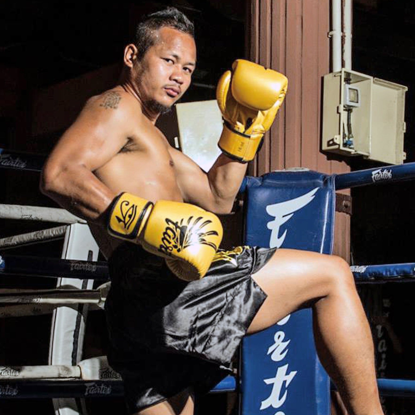 Fairtex Falcon Boxing Gloves BVG1, limited edition Muay Thai gloves with falcon graphic, premium microfiber leather for boxing and kickboxing