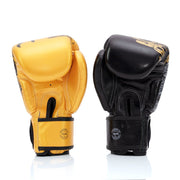 Fairtex Harmony Six Boxing Gloves BGV26, Feng Shui-inspired genuine leather gloves with phoenix and dragon motifs, ideal for Muay Thai, boxing, and kickboxing training