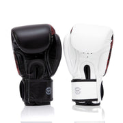 Fairtex The Beauty of Survival Boxing Gloves BGV24, limited edition Muay Thai gloves with artwork by P7, microfiber leather, includes nylon bag or wooden box