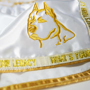 Legacy High Baller Muay Thai shorts with flashy embroidery and classic Thai boxing silhouette