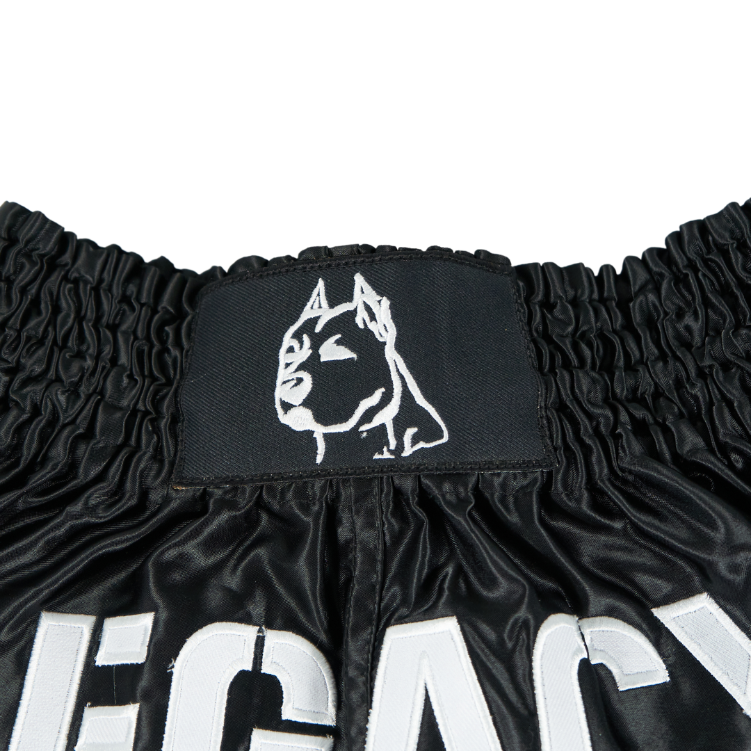 Team Legacy Muay Thai shorts premium satin embroidered fightwear