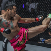 Muay Thai Kick